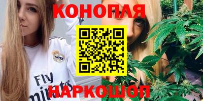МДПВ Кингисепп