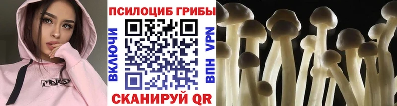 kraken зеркало  купить наркоту  Кострома  Галлюциногенные грибы MAGIC MUSHROOMS 