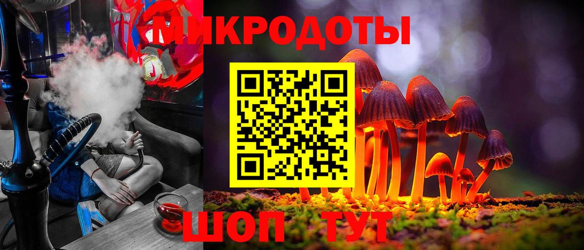 Галлюциногенные грибы Psilocybine cubensis Кострома