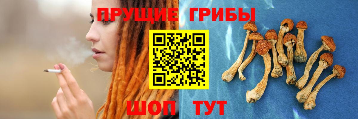 Псилоцибиновые грибы Magic Shrooms  Вход с VPN  Кострома 