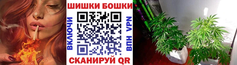 Конопля VHQ  хочу   Кострома 